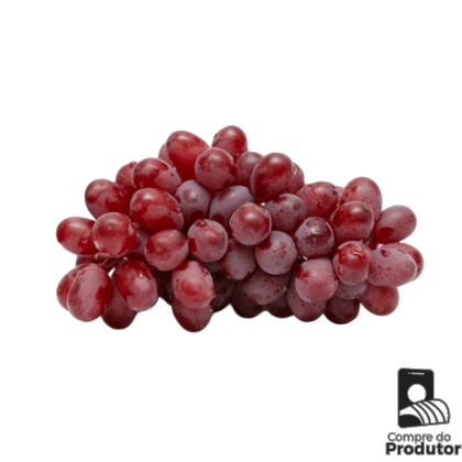 Uva Rubi