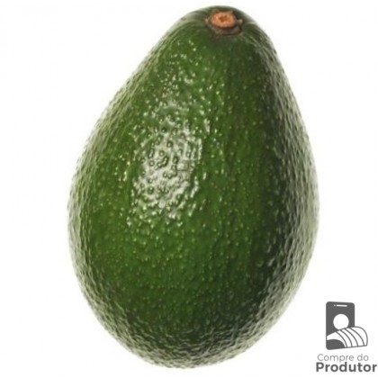 Abacate 