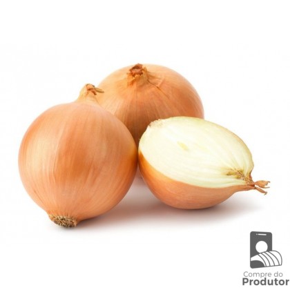 Cebola