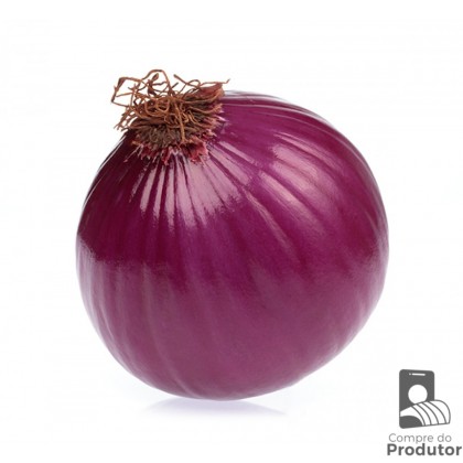 Cebola Roxa