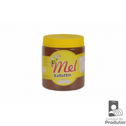 Mel Pote 500g - Ballottin