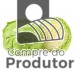 Repolho Verde